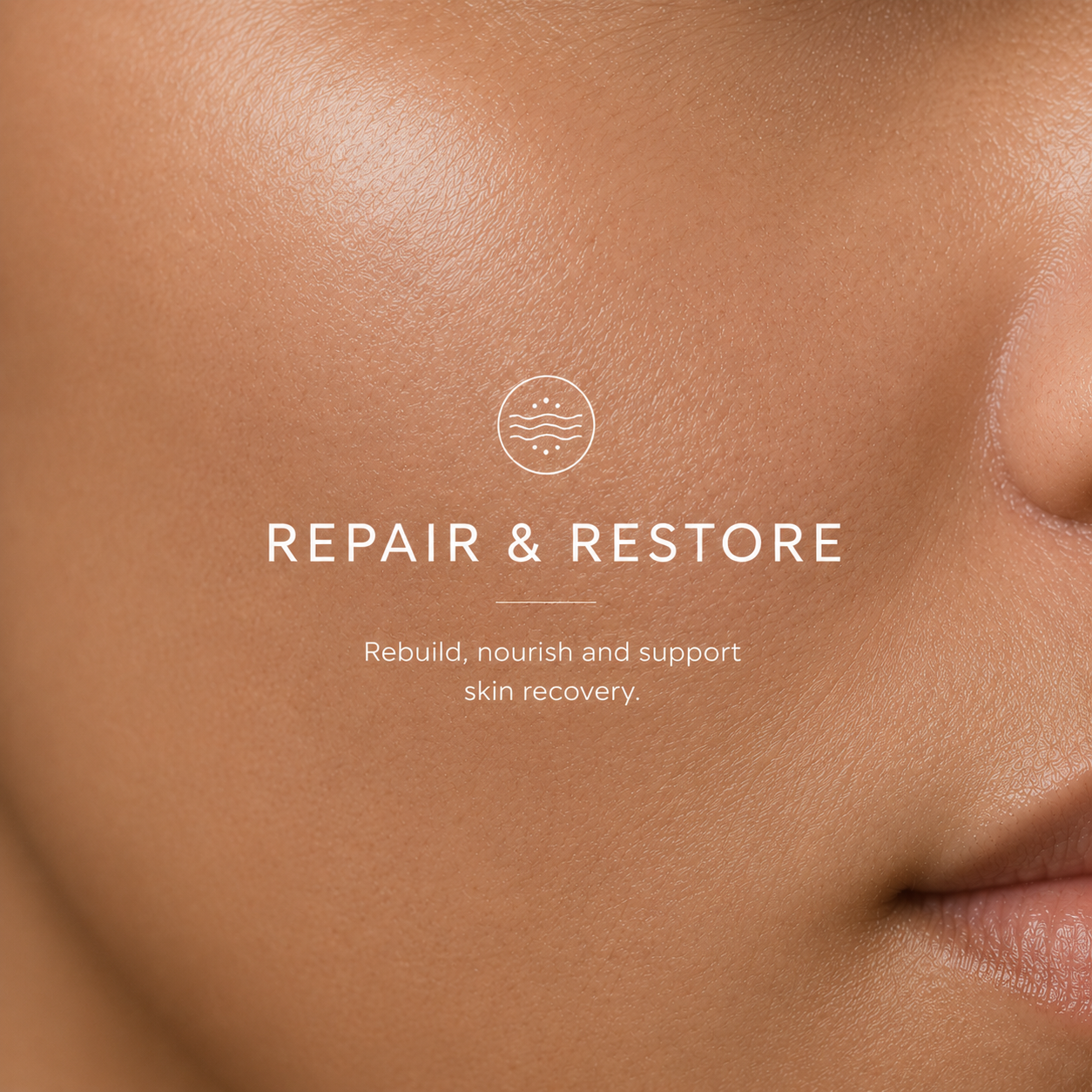Repair & Restore